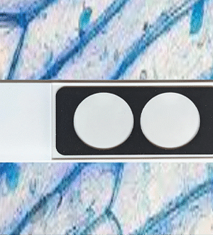 MicroSlide B2 Poly-lysine [24 Slides]