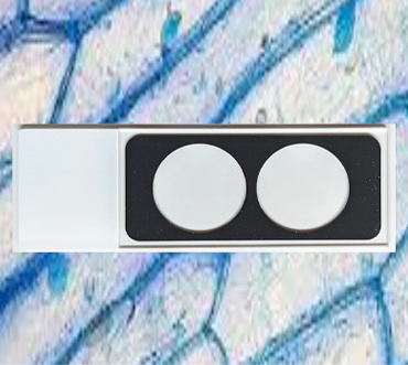 MicroSlide B2 Poly-lysine [24 Slides]