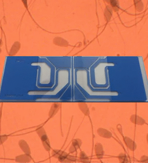 MicroTool 4 [24 Slides]