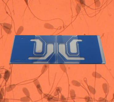 MicroTool 4 [24 Slides]