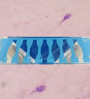 MicroTool B7 [24 Slides]