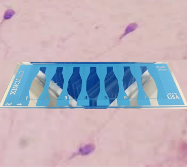 MicroTool B7 [24 Slides]